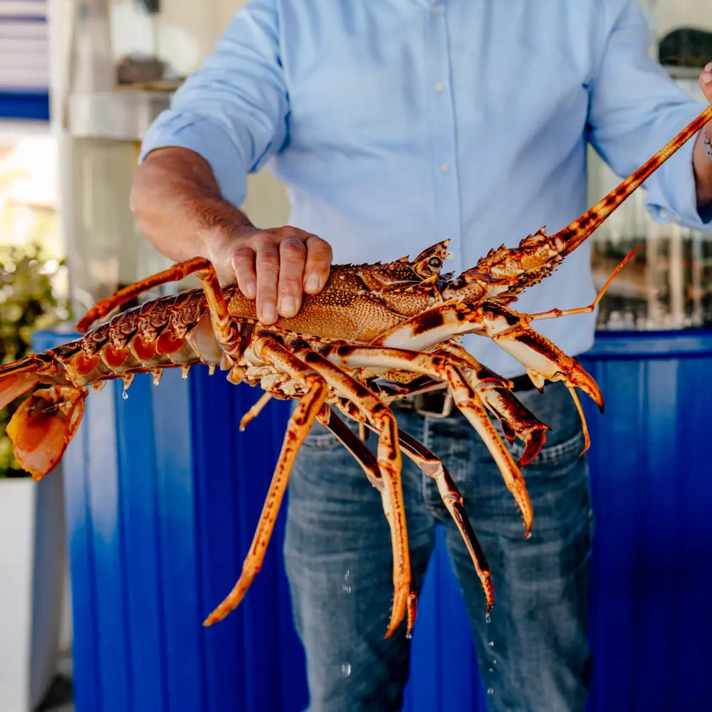 mariscos-luanco-candas